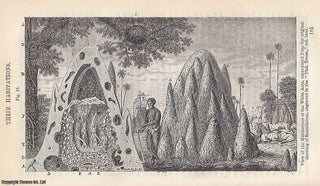 The White Ants; Hidden Cities, Strange Labours, and the Architecture of Insects . An early natural-philosophical account revealing how Victorian observers marvelled at the engineering genius of termite societies. By Dionysius Lardner. A complete article printed in 1856.