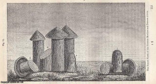 The White Ants; Hidden Cities, Strange Labours, and the Architecture of Insects . An early natural-philosophical account revealing how Victorian observers marvelled at the engineering genius of termite societies. By Dionysius Lardner. A complete article printed in 1856.