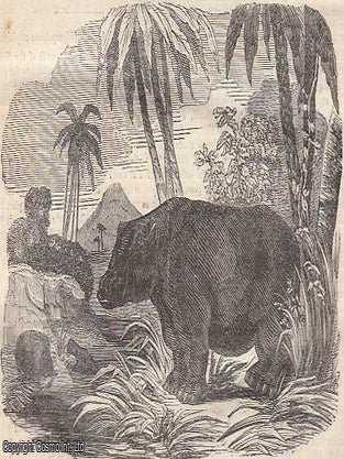 China : The Peasantry of China, part 7, etc., : The Hippopotamus : First Visit to the Old Castle at Baden : The Oriental Plane : A complete rare weekly issue of the Saturday Magazine, 1837.