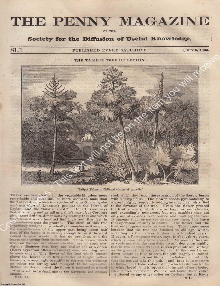 Item #374296 The Moon, etc., : Elymas Struck with Blindness (cartoons of Raffaelle) : The Talipot Tree of Ceylon : Issue No. 81, July 6th, 1833. A complete original weekly issue of the Penny Magazine, 1833. The Victorian Mind at Work: Weekly Knowledge from the Penny Magazine.