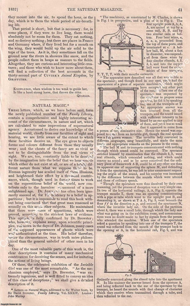 Item #374481 Ephemera, Or Day-Flies : On the Duties & Advantages of Society. No. III. -...