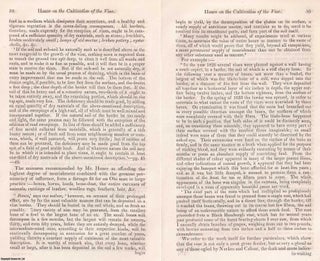 Hoare on the Cultivation of the Vine : A 19th century guide to viticulture, revealing how British growers adapted ancient practices to northern soils. An article printed in 1840, written by W.J. Broderib : 16 pages.