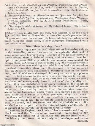Rats; the common brown rat as found in Britain; his feeding habits, reproduction, etc. An article. THE BROWN RAT IN 1857.