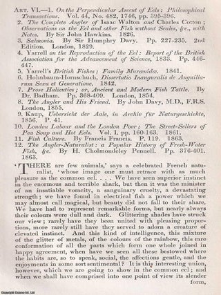 Eels : Migration, Myth, and the Market Stall. An article printed in 1864, written by William. CULINARY ROLE THE EEL'S BIOLOGY.