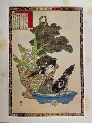 Birds & Flowers : Glimpses of Old Japan from Japanese Colour Prints. By C.G. Holme.