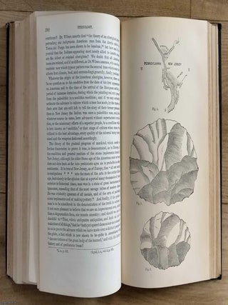 The Stone Age in New Jersey by C.C. Abbott, 135 pages & 223 figures ; Eulogy on Alexander Volta by Arago, 27 pages ; Natural History of Geneva by M.A. De Candolle, 24 pages ; The Past & Future of Geology by Joseph Prestwich, 21 pages : All contained in the complete volume of The Annual Report of the Smithsonian Institution, 1876.