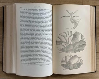 The Stone Age in New Jersey by C.C. Abbott, 135 pages & 223 figures ; Eulogy on Alexander Volta by Arago, 27 pages ; Natural History of Geneva by M.A. De Candolle, 24 pages ; The Past & Future of Geology by Joseph Prestwich, 21 pages : All contained in the complete volume of The Annual Report of the Smithsonian Institution, 1876.