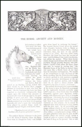 Item #406652 The Horse: Ancient and Modern. An original article from the English Illustrated...
