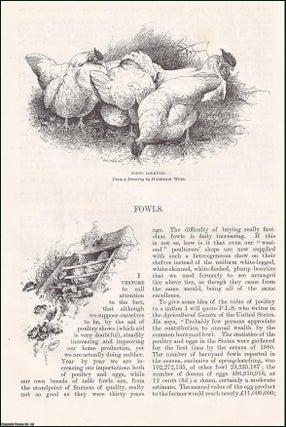 Item #406744 Fowls; with Illustrations by the Author. An original article from the English...