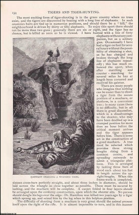 Item #406907 Tigers and Tiger-Hunting. An original article from the English Illustrated Magazine,...