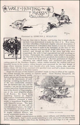 Item #406919 Wolf Hunting in Russia. An original article from the English Illustrated Magazine,...