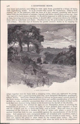 Item #406933 A Hampshire Moor; Hartfordbridge Flats. An original article from the English...