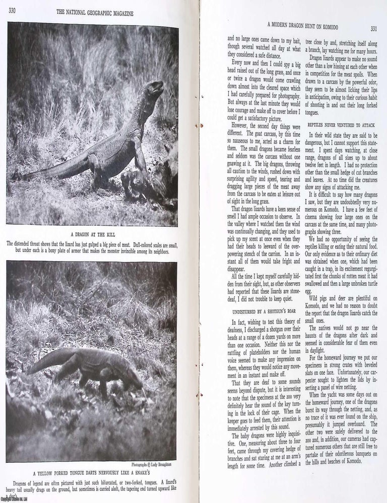 Item #407501 A Modern Dragon Hunt on Komodo : Photographing and Capturing the Dragon Lizard of...