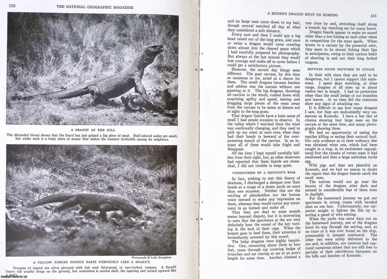 Item #407501 A Modern Dragon Hunt on Komodo : Photographing and Capturing the Dragon Lizard of...