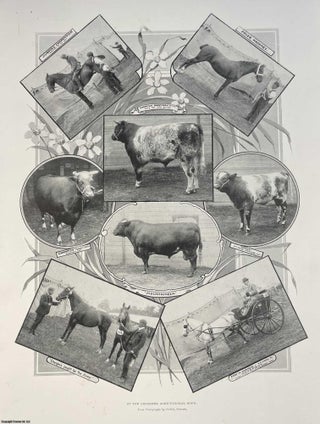 Item #408864 At the Leicester Agricultural Show. An original print from the Illustrated London...