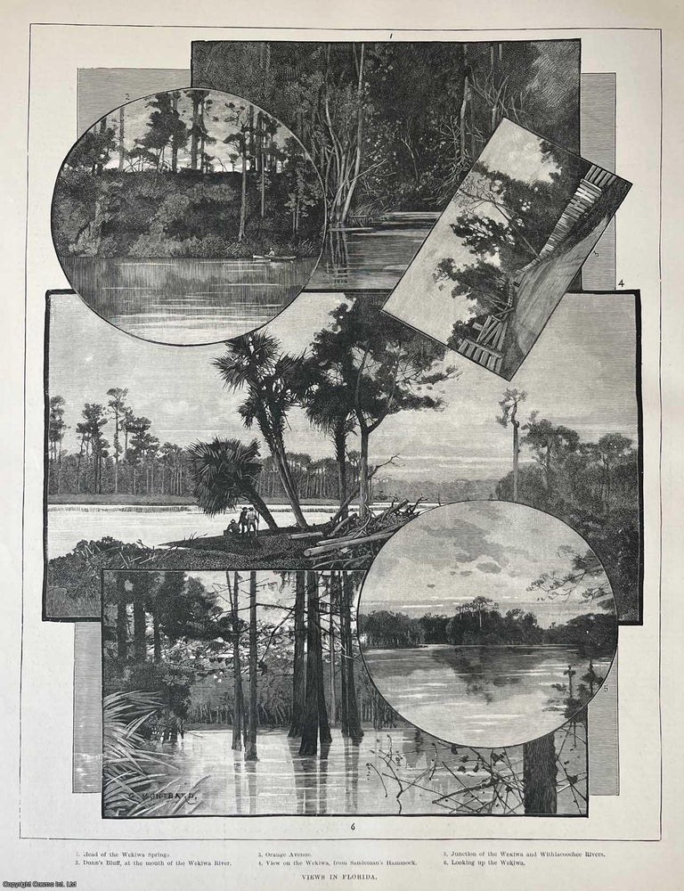 Item #416608 Views in Florida. A collection of original engravings, with brief accompanying text overleaf, from the Illustrated London News, 1887. A rare, original print from The Illustrated London News, carefully removed and preserved : an important artifact of journalism's golden age! FLORIDA : ILLUSTRATED LONDON NEWS.