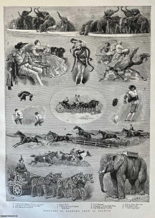 Item #416837 Sketches at Barnum's Show at Olympia, London. An original woodcut engraving, with...
