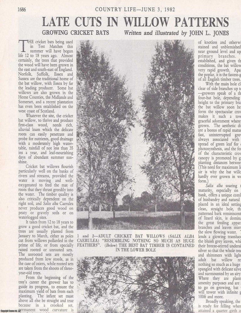Item #417962 Growing Willows for Cricket Bats. Several pictures and accompanying text, removed from an original issue of Country Life Magazine, 1982. John L. Jones.