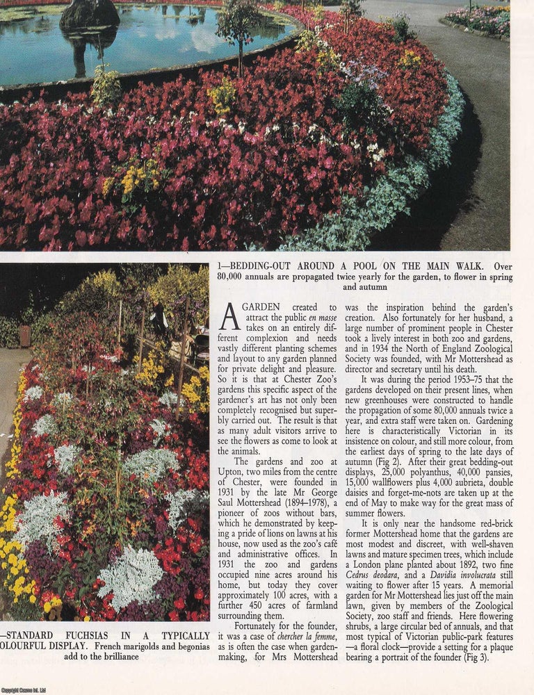 Item #418049 The Gardens of Chester Zoo. Several pictures and accompanying text, removed from an...