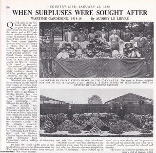 Item #418279 Wartime Gardening, 1914-18. Several pictures and accompanying text, removed from an...