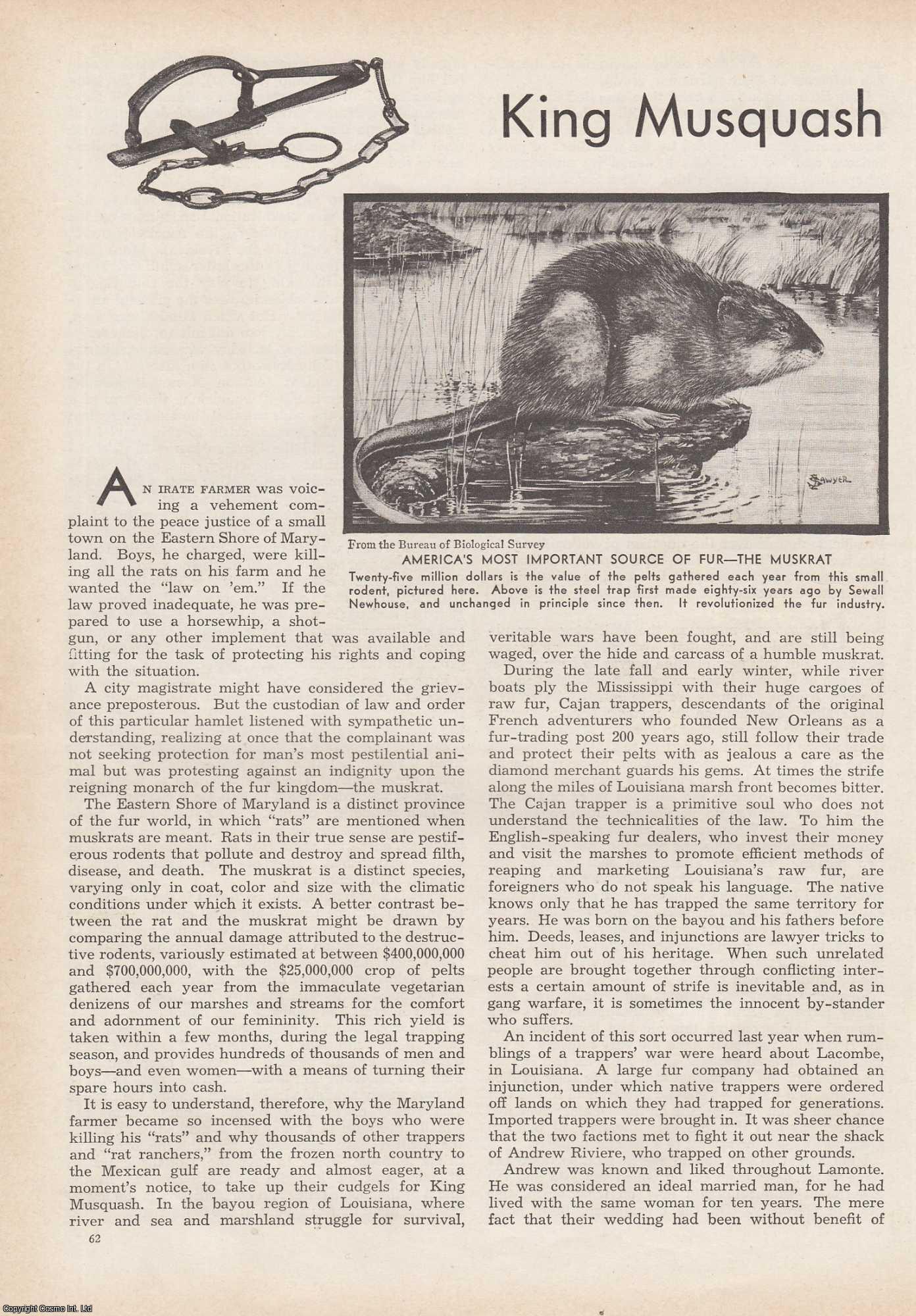 King Musquash and His Empire: The Muskrat and America's Fur Trade ...