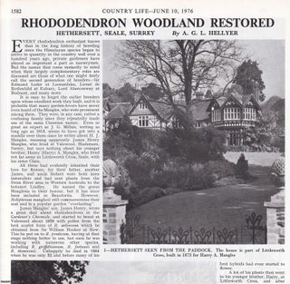 Item #418729 Hethersett, Seale, Surrey; Rhododendron Woodland Restored. Several pictures and...