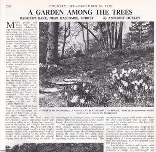 Item #419444 The Garden of Badger's Rake, near Hascombe, Surrey. Several pictures and...