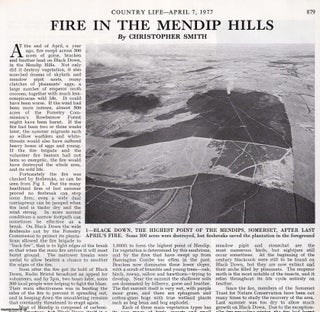 Item #419588 Fire in the Mendip Hills, 1976. Several pictures and accompanying text, removed from...