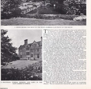 Item #419647 Gardens of Ludstone Hall, near Claverley, Shropshire. Several pictures and...
