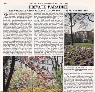 Item #419669 The Gardens of Cadogan Place, London SW1. Several pictures and accompanying text,...