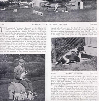 Item #420190 The Highbrook Kennel of Fox Terriers, Ardingly, Sussex. Several pictures and...