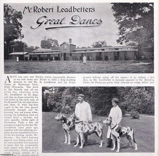 Item #420193 Mr Robert Leadbetter's Great Danes; Hazelmere Park, HIgh Wycombe. Several pictures...