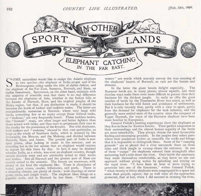 Item #420239 Elephant Catching in the Far East. Several pictures and accompanying text, removed...