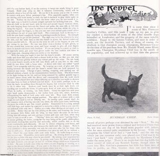Item #420271 The Kennel: Some Ladies' Dogs, the Ladies' Kennel Association. Several pictures and...