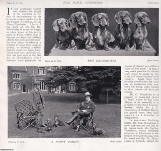 Item #420314 Mr E.S. Woodiwiss' Dachsunds. Several pictures and accompanying text, removed from...