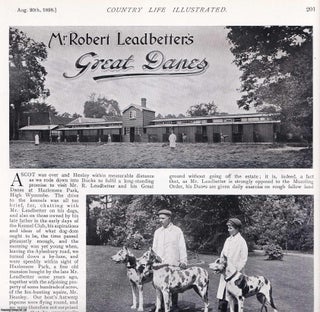 Item #420336 Mr Herbert Leadbetter's Great Danes at Hazelmere Park, High Wycombe. Several...
