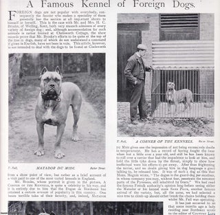Item #420338 The Kennels of Mr and Mrs H.C. Brooke of Welling, Kent: A Famous Kennel of Foreign...