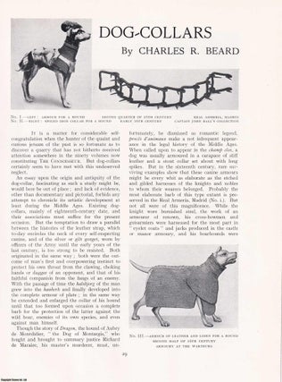 Item #421241 Collars for Dogs. An original article from The Connoisseur, 1933. Charles R. Beard