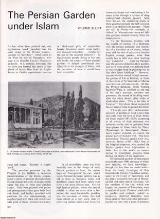 Item #422407 The Persian Garden under Islam. An original article from Apollo, International...
