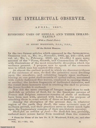 Economic Uses of Shells, & Their Inhabitants. An original uncommon article from the Intellectual Observer, 1867.