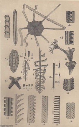 Graptolites : Their Structure & Systematic Position. Parts 1 &. William Carruthers.