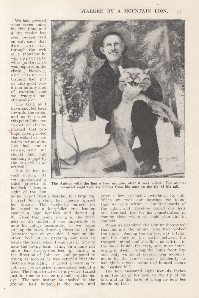 Item #504647 Stalked by a Mountain Lion, while Engaged in Mining in The Upper Reaches of The Selkirk Mountains, Near Golden, British Columbia. This is an uncommon original article from the Wide World Magazine, 1921. C J. Lincke, A G. Small.