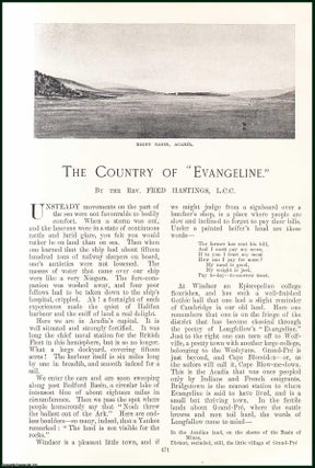 Item #504900 The Country of Evangeline, Acadia. An original article from the Windsor Magazine,...