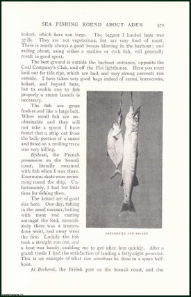 Item #504968 Sea Fishing Round About Aden, City in Yemen. An uncommon original article from the...