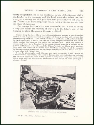 Tunny Mackerel Fishing Near Syracuse. An uncommon original article from the Badminton Magazine, 1903.