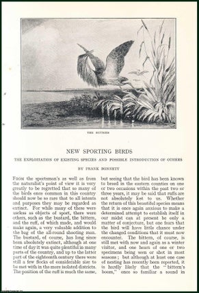 Item #504990 New Sporting Birds : The Exploitation of Existing Species & Possible Introduction of...