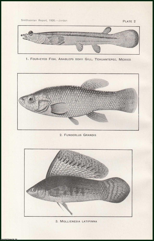 Item #505133 The Mosquito Fish (Gambusia) and its Relation to Malaria. An original article from the Report of the Smithsonian Institution, 1926. David Starr Jordan.