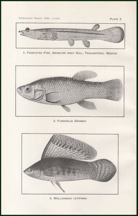 The Mosquito Fish (Gambusia) and its Relation to Malaria. An original article from the Report of the Smithsonian Institution, 1926.
