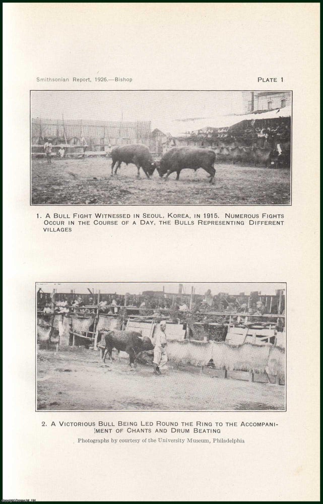 Item #505139 The Ritual Bullfight. An original article from the Report of the Smithsonian Institution, 1926. C W. Bishop.