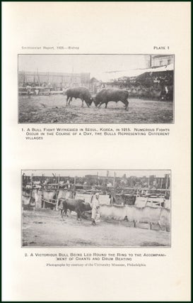 The Ritual Bullfight. An original article from the Report of the Smithsonian Institution, 1926.